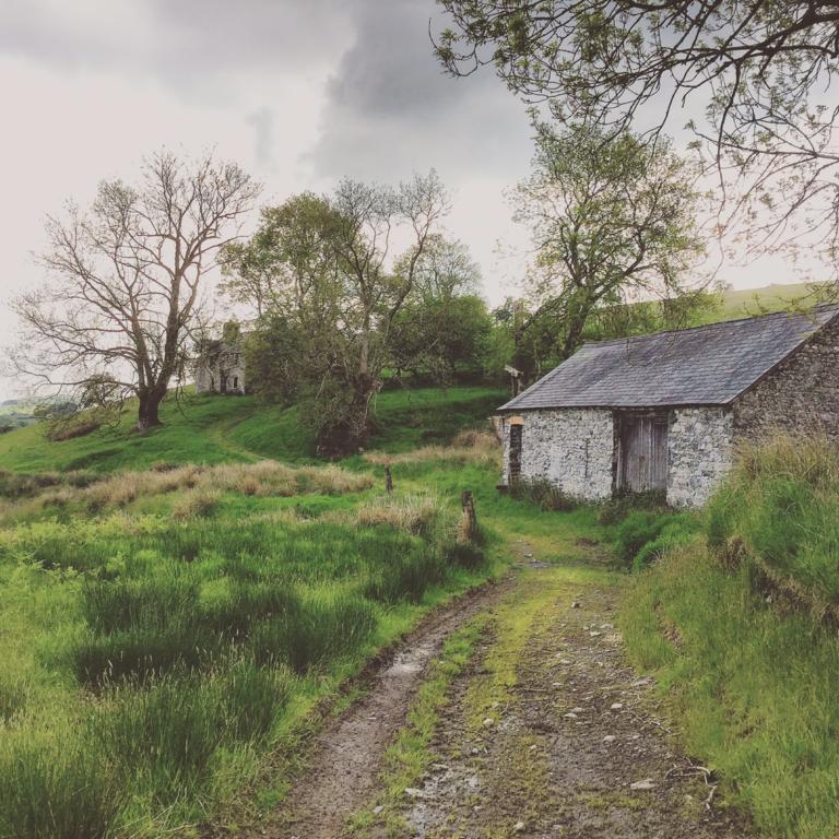 Maes Y Gwaelod Llanwrtyd Wells Exterior foto